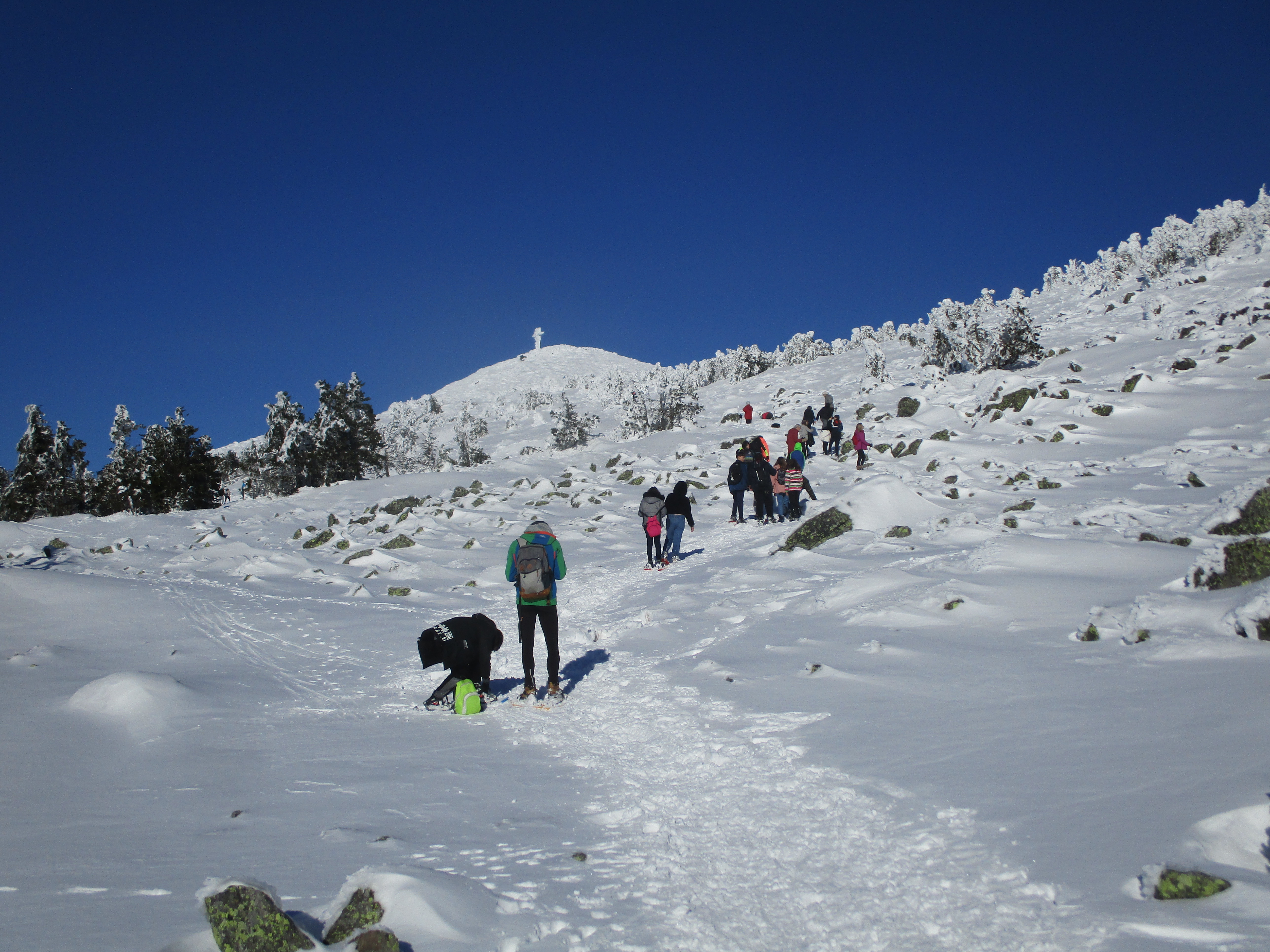 Une sortie raquettes sous le soleil