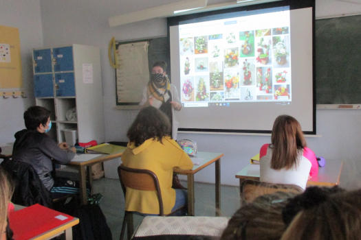 SEGPA : rencontre avec Blandine Vidon, fleuriste