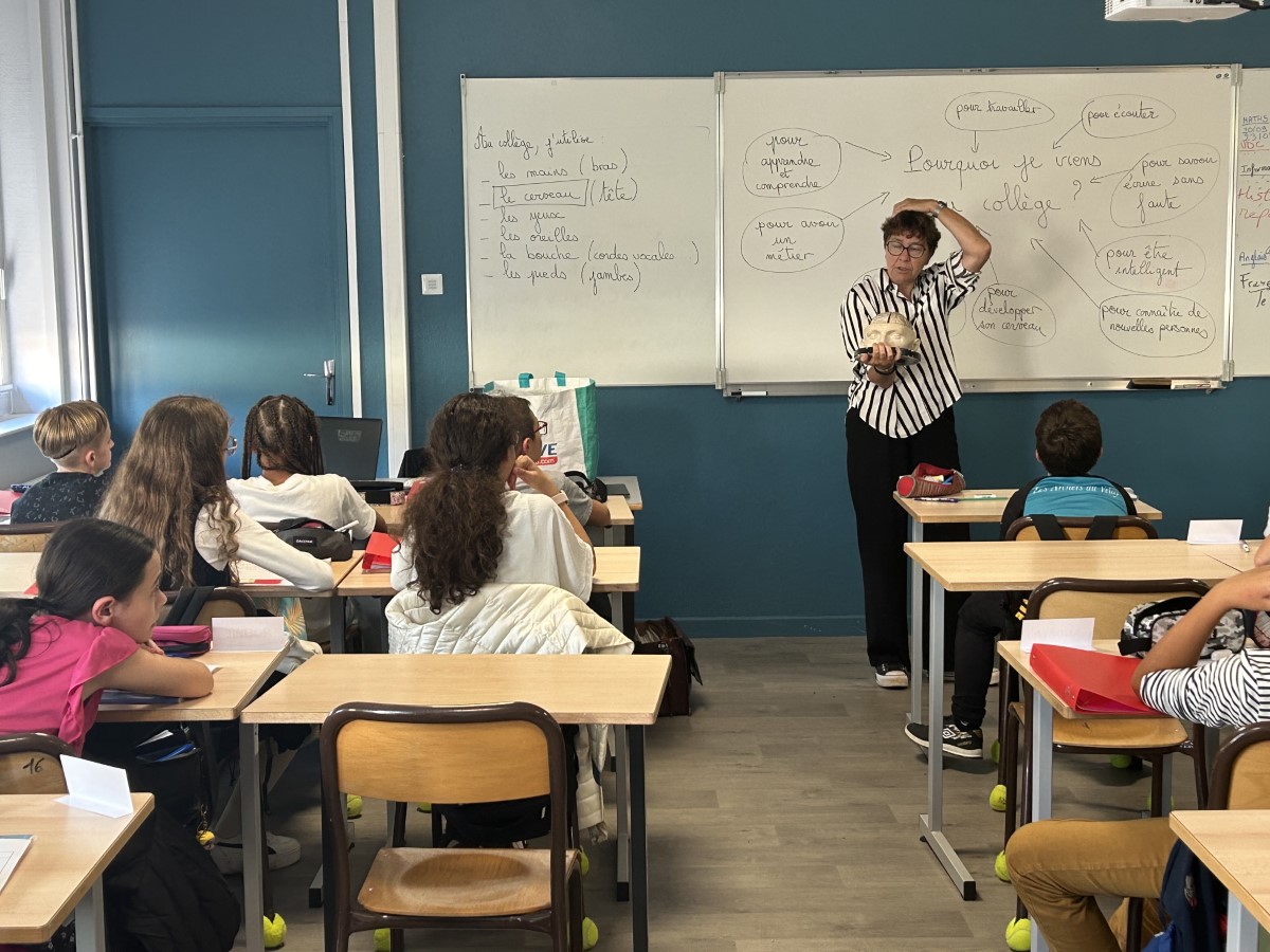 Il était une fois notre cerveau...